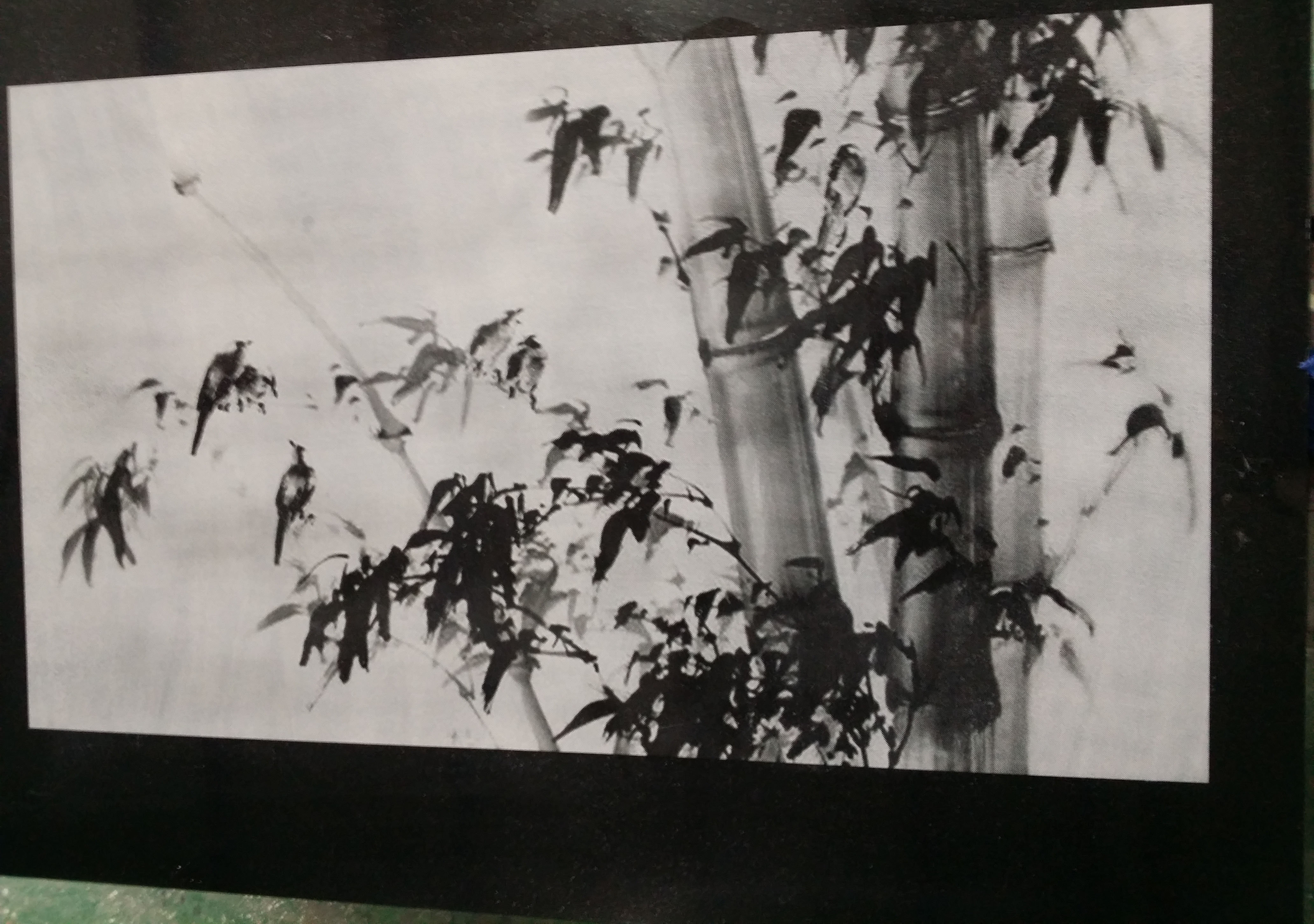 bamboo.jpg